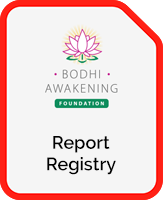 BA Report Registry PDF